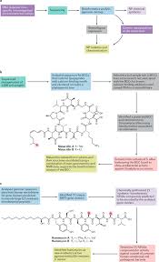Input a name for the coupon code in the title field. Natural Products In Drug Discovery Advances And Opportunities Nature Reviews Drug Discovery