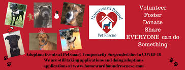 At homeward bound mobile vet, we focus on giving your pet the best care available. Homeward Bound Pet Rescue Home Facebook