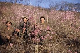 We have offered a wide range of news to visitors based outside of korea and provided them with detailed information about the korean film industry a well as . Rare Color Photos Show Korean War Through Colombian Soldier S Eyes Upi Com