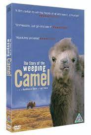 This is a tale of fantastic beasts and where you find them is the gobi desert. The Story Of The Weeping Camel 2003