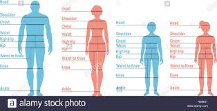 Man Woman Boy And Girl Size Chart Human Front Side