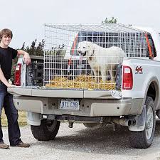 Pickup Haulers Guard Dogs Up Dog Goat Farming