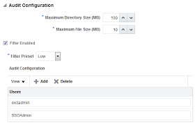 Auditing Administrative And Run Time Events