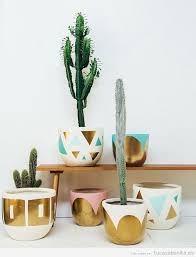 Toda superficie de acero es muy recomendable para baños pequeños, porque propicia que la luz se intensifique y llegue a más rincones. Decorar Casa Con Cactus De Interior Tu Casa Bonita