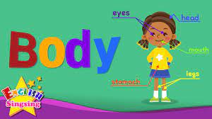 We did not find results for: Part Of Body Materi Kelas 5 Sd