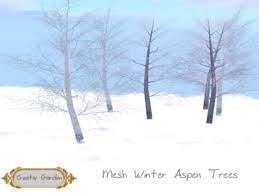 Winter aspen trees stock photo. Second Life Marketplace Creativ Garden Mesh Aspen Tree Winter