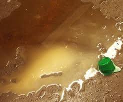 Does this make you feel disgusted? How To Remove Coffee Stains From Plastic How To Clean Stuff Net