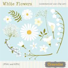 Vector multicolored daisy, chamomile flower isolated. White Flowers Clip Art Images White Flowers Vector Royalty Etsy