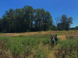 Victoria Glidden (@vcglidden) • Instagram photos and videos