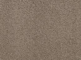 Strapazierfähiger teppich , strapazierfähiger teppich esszimmer., strapazierfähiger teppich wohnzimmer teppich grau gold 3d bordüre marmor muster. Teppichboden Verona Andiamo Rechteckig Hohe 6 Mm Meterware Breite 400 Cm Strapazierfahig Schallschluckend Online Kaufen Otto