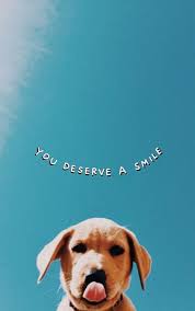 We have a massive amount of desktop and mobile backgrounds. Download Dog Wallpaper For Iphone Hd Wallpapers Book Your 1 Source For Free Download Hd 4k High Quality Wallpapers