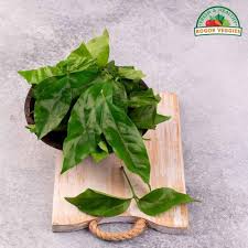 Check spelling or type a new query. Daun Melinjo 50 Gram Terbaru Juli 2021 Harga Murah Kualitas Terjamin Blibli