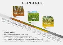 10 Tips For Coping With Allergies Spring Allergies Outdoor Kids Allergies