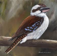Laughing Kookaburra By Janet Graham Paintings For Sale Bluethumb Online Art Gallery Dog Portrait Drawing Original Fine Art Horse Art Drawing