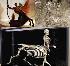 Greek mythology still lives......Centaurs