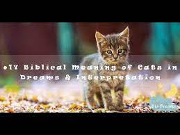 Biblical Meaning Of Cats In Dreams And Interpretation Youtube