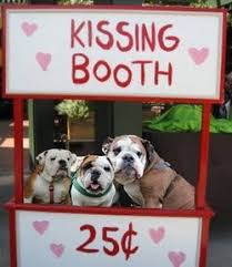 Minnesota wisconsin bulldog french bulldog english mn mn princeton sherburne refuge puppy puppies. The Bulldog Ranch Formerly Known As Wostal Family English Bulldogs Home