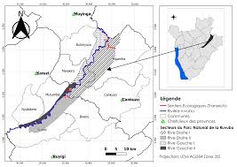 Image result for Dissotis ruandensis
