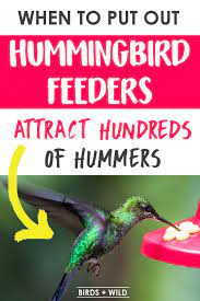 A properly placed hummingbird feeder heating mat will keep your nectar from freezing at temperatures as low as 10°f, even when still attached to your feeder. When To Put Out A Hummingbird Feeder Birds Wild