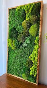 Moss Wall Art Preserved Moss Nature Art Moss Wall Etsy Moss Wall Art Moss Decor Outdoor Wall Art