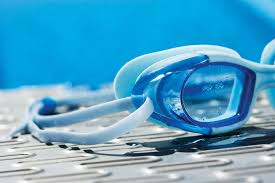 2019-20 swimming and diving area rosters