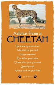 Advice From A Cheetah Outdoor Quotes Spirit Animal Meaning Wisdom Quotes