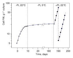 Check spelling or type a new query. A Simple And Efficient Method For The Long Term Preservation Of Plant Cell Suspension Cultures Plant Methods Full Text