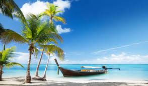 Brown Boat Landscape Tropical Beach Palm Trees 8k Wallpaper Hdwallpaper Desktop Beach Wallpaper Palm Trees Wallpaper Nature Beach