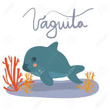 We did not find results for: Vaquita Marina Vector Illustration Royalty Free Cliparts Vectors And Stock Illustration Image 108049501