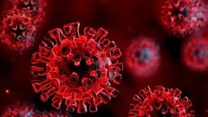 Indiana es uno de los cincuenta estados que, junto con washington d. Ministerio Da Saude Dispara Alerta De Aproximacao Da Cepa Indiana Do Coronavirus Para A Regiao Sul Gauderio News