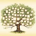 One-on-One Genealogy Help Sessions