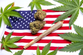 Das werde leben und familien retten, sagt jugendrichter andreas müller. Recent Congressional Action More Proof Marijuana Isn T Going Federally Legal In 2020