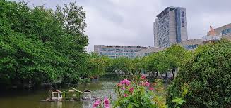 Check spelling or type a new query. ì¸í•˜ ìžëž'ê±°ë¦¬