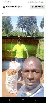 Leo si tuanike wale good buyer and sellers to have done business with them  cz we have good people here like me kyen Allan and Lydia shiz it was nice  doing business