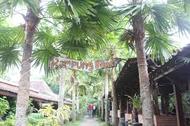 Gubuk makan iwak kalen, yogyakarta. Kampung Flory Wisata Nuansa Pedesaan Selangkah Dari Kota