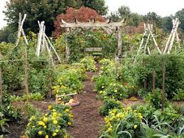How To Downsize Our Garden Plan Small Vegetable Gardens Vegetable Garden Design Garden Planning