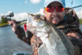 Top walleye lakes you've probably never heard of