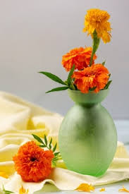 The dried, ground flowers are used as chicken feed as a source of carotenoids to enhance the color and nutrition of egg yolks, and as a yellow food dye in europe. Premium Photo Cup Of Tea From Dried Marigold Flowers The Benefits And Harms Cooking Methods