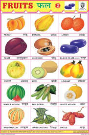 fruits chart no 2 hindi worksheets hindi language