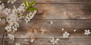 Westchester floral decorators is located in pelham, new york. Westchester Floral Decorators