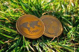 Enter the amount you would like to buy denominated in either digital currency or your local currency. Canadian Crypto Exchange Coinsquare Lists Xrp Ahead Of Ipo U S Expansion