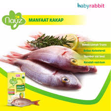 Salah satunya dapat merangsang motorik dan kognitif bayi lebih maksimal. Nayz Bubur Bayi Organik Bb Labos 300gr Rasa Ikan Kakap Menambah Berat Badan Shopee Indonesia