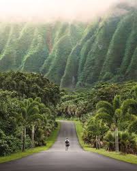 Plan to visit hoomaluhia botanical gardens, united states. Ho Omaluhia Botanical Garden Hawaii Mostbeautiful