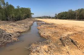 A) sekitar muara sungai perak. Mampukah Hutan Paya Bakau Sabah Tahan Ancaman Pembangunan Borneo Today