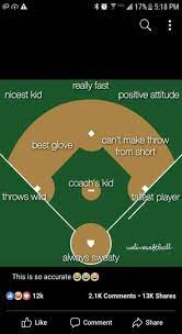 18 Funny Birthday Meme For Coworker 1 Softball Quotes Fastpitch Softball Quotes Softball Pitcher