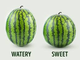 Advertisement Nothing Is As Refreshing As The Sweet Juicy Taste Of A Watermelon On A Summer Day However A Waterme Watermelon Sweet Watermelon Fruit Picking