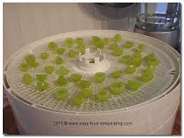 Maybe you would like to learn more about one of these? Dehydrating Grapes Raisins In Disguise