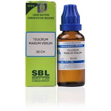 Homeopathic medicines promise a permanent cure in nasal polyps by treating the root cause. Buy Sbl Teucrium Marum Verum Dilutions Online 13 Off Healthmug Com