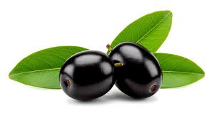 Image result for Syzygium cumini