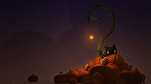 Cat Wallpaper Photos 14